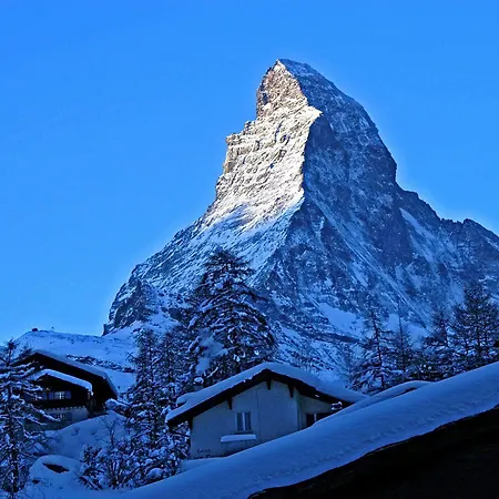 Albatros Zermatt